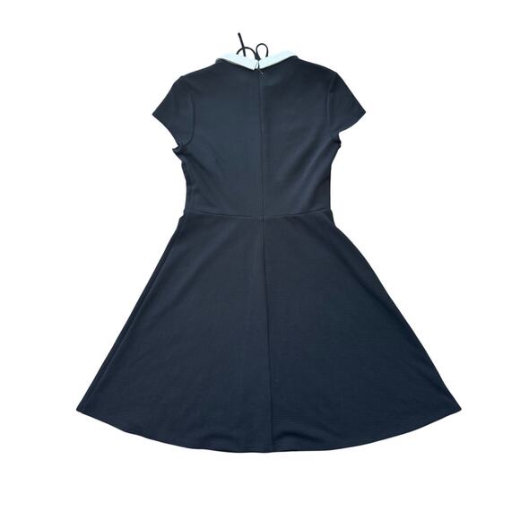 Pappagallo Women's Black midi Dress, size Medium, White Peter Pan collar - Picture 2 of 12